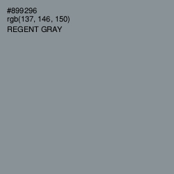#899296 - Regent Gray Color Image
